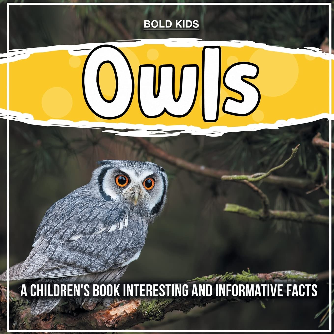 Owls: A Children's Book Interesting And Informative Facts Non-fiction