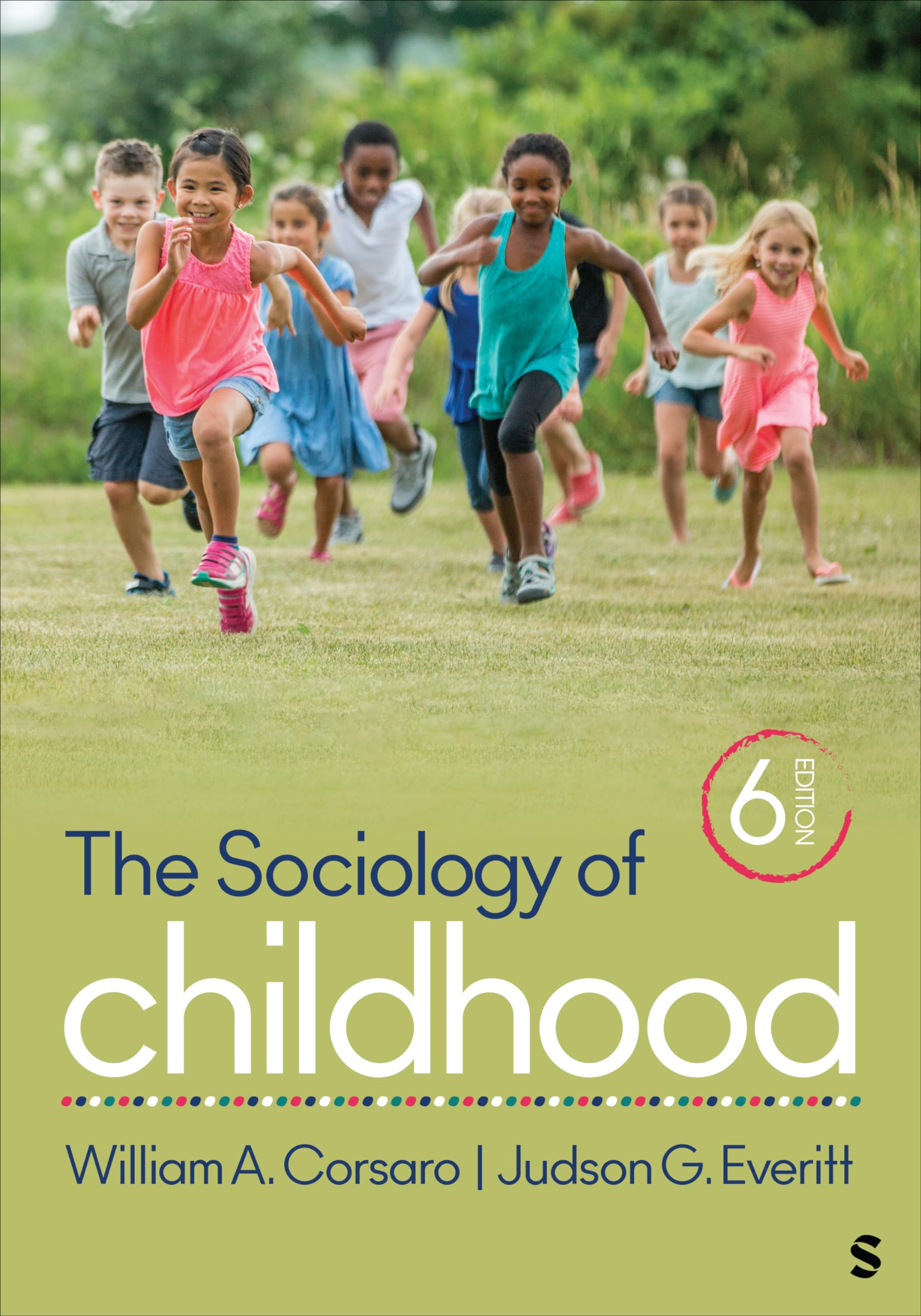 The Sociology of Childhood Law