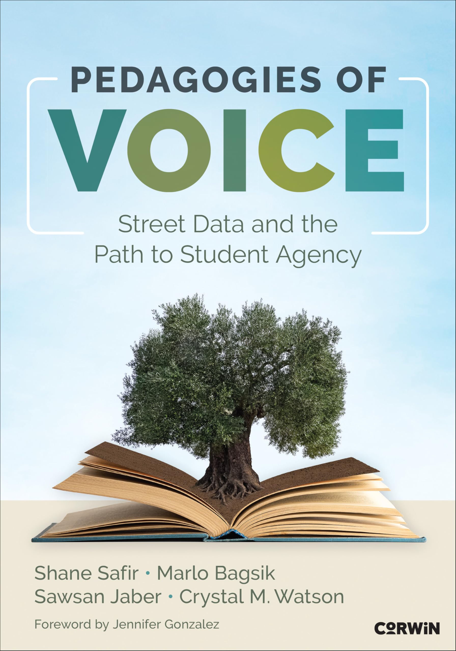 Pedagogies of Voice: Street Data and the Path to Student Agency Law