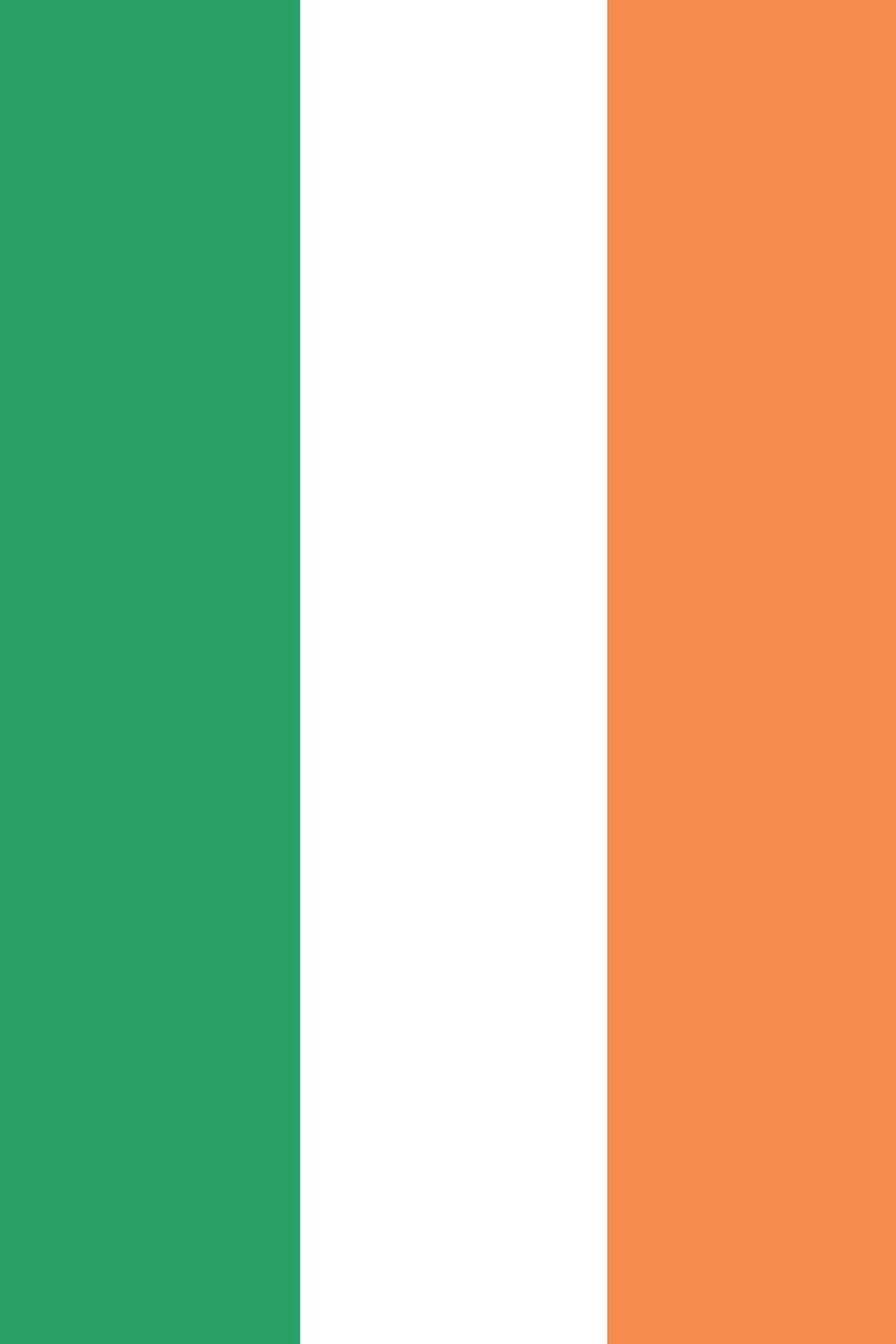 Ireland Flag Notebook - Irish Flag Book - Ireland Travel Journal: Medium College-Ruled Journey Diary, 110 page, Lined, 6x9 (15.2 x 22.9 cm) book