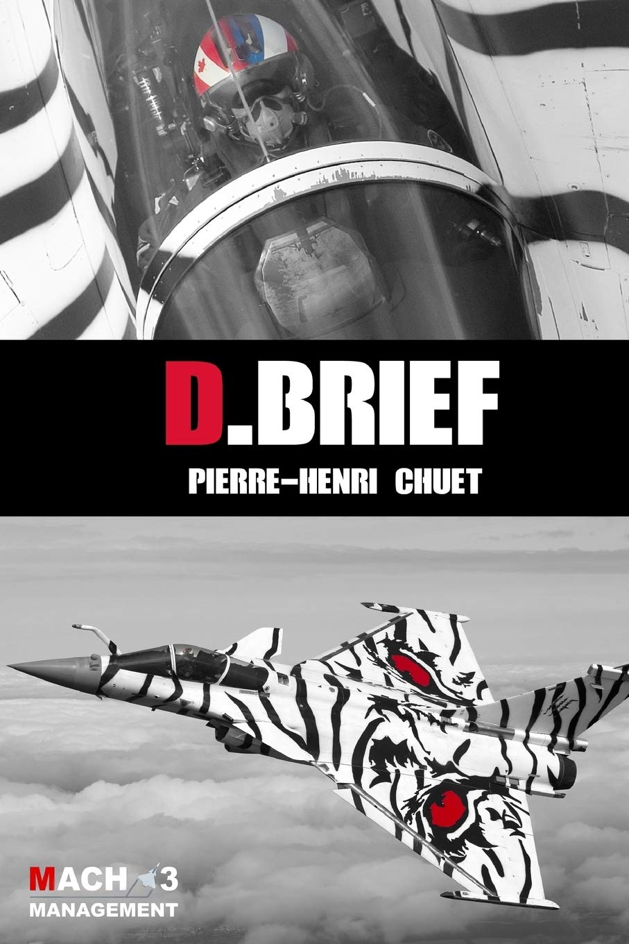 D.BRIEF: Achieving success in an exponential world: supersonic leadership and followership Business, Finance & Career