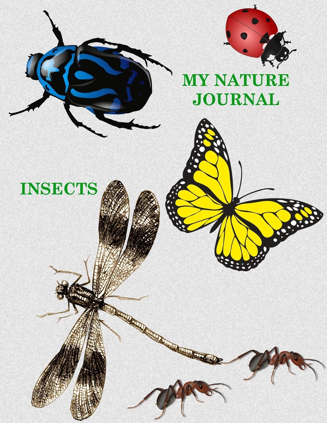 My Nature Journal: Insects (Charlotte Mason Nature Journal) Education & Training