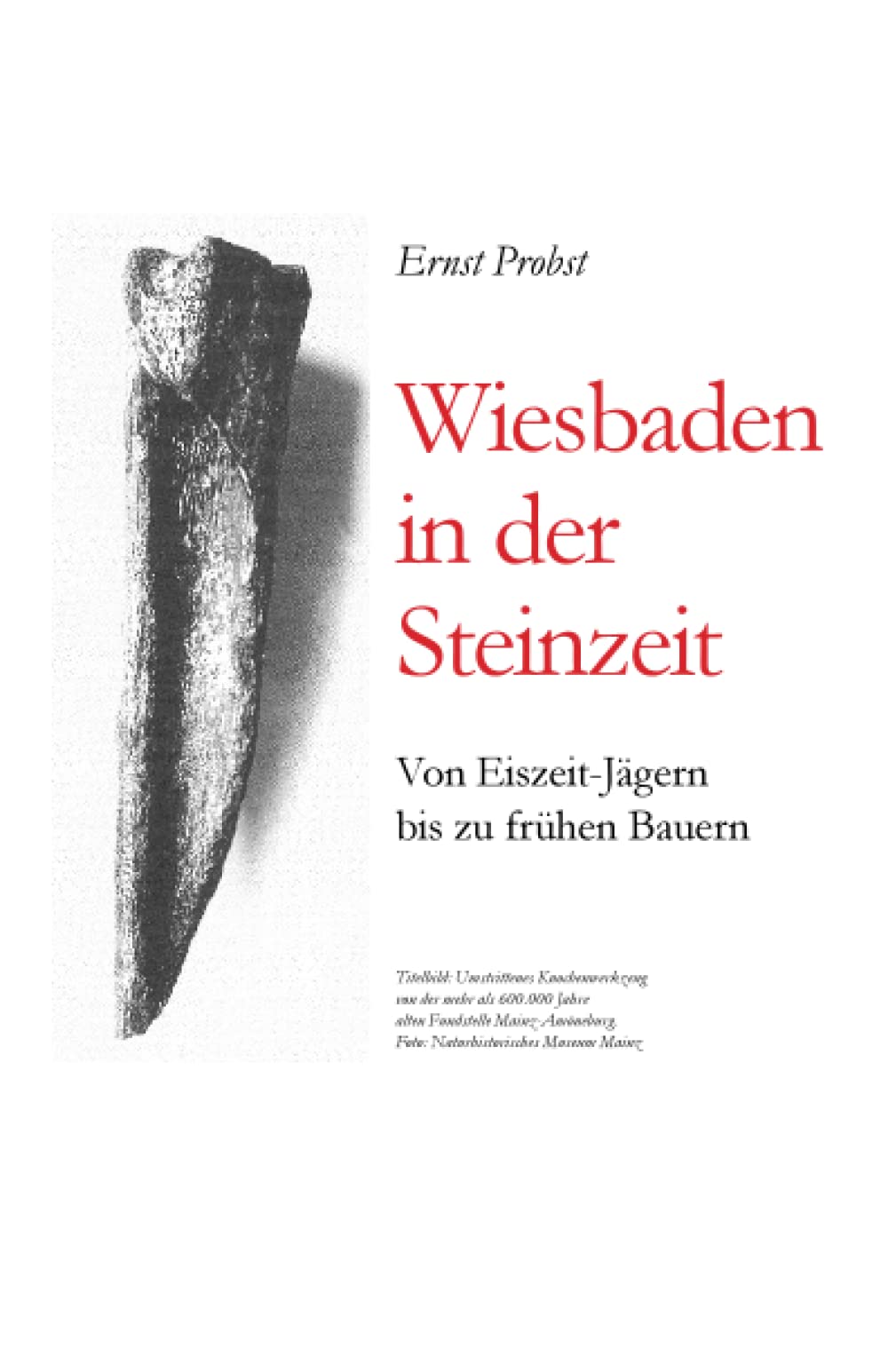 Wiesbaden in der Steinzeit: Von Eiszeit-Jägern bis zu frühen Bauern (Bücher von Ernst Probst über die Steinzeit) Business & Technology
