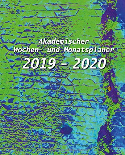 Akademischer Wochen- und Monatsplaner 2019 - 2020: Kalender von Juli 2019 bis Juli 2020 | Minimalistisches Design innen | Cover mit Snake Art Design für Männer Business, Finance & Career