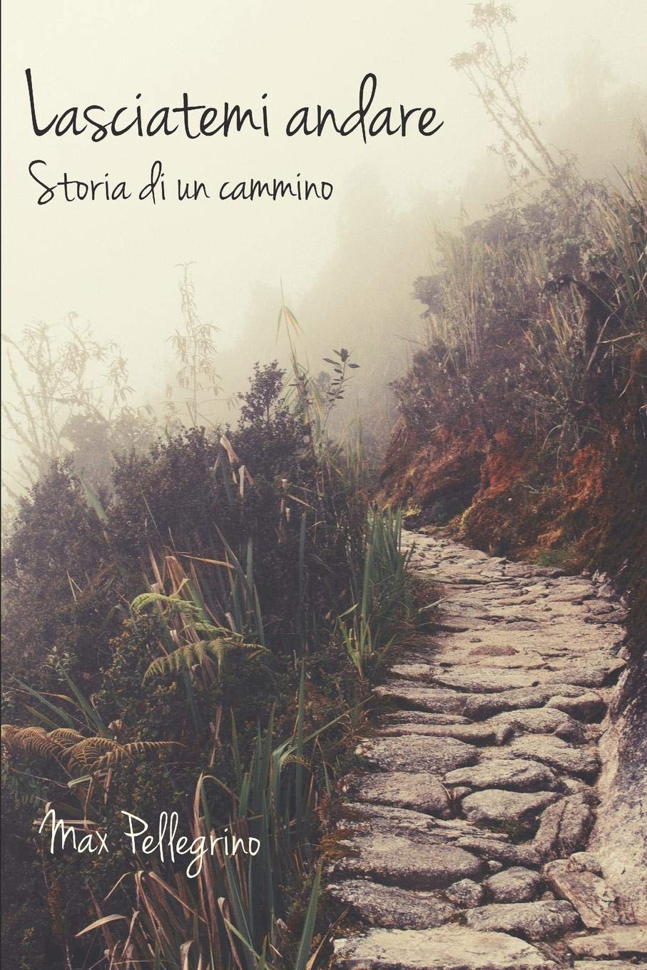 Lasciatemi andare: Storia di un cammino Contemporary literature