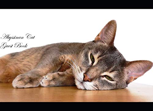 Abyssinian Cat Guest Book: Lined 400+ Spaces Option: Honeymoons, Holidays, Vacations, Funerals, Baby Showers, Birthdays, Anniversaries, Christenings, ... to sign in thoughts, comments, memories, Essays & Short Stories