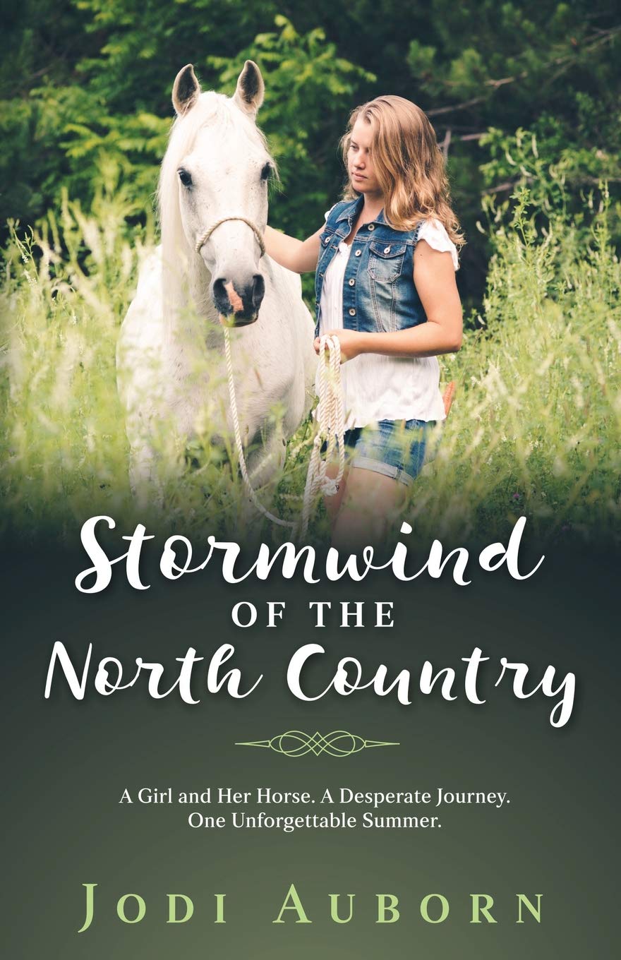 Stormwind of the North Country book