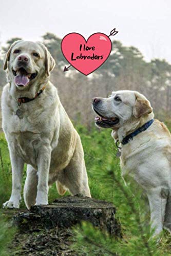 I love Labradors: Notebook Journal with beautiful Lab Cover. 6” x 9” lined journal (neutral wide-ruled paper with a line at the top for date), blank book notebook, 100 pages for writing notes. Pets