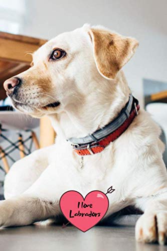 I love Labradors: Notebook Journal with beautiful Lab Cover. 6” x 9” lined journal (neutral wide-ruled paper with a line at the top for date), blank book notebook, 100 pages for writing notes. Pets