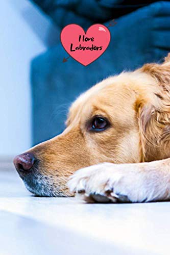 I love Labradors: Notebook Journal with beautiful Lab Cover. 6” x 9” lined journal (neutral wide-ruled paper with a line at the top for date), blank book notebook, 100 pages for writing notes. Non-fiction
