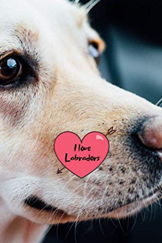 I love Labradors: Notebook Journal with beautiful Lab Cover. 6” x 9” lined journal (neutral wide-ruled paper with a line at the top for date), blank book notebook, 100 pages for writing notes. Pets