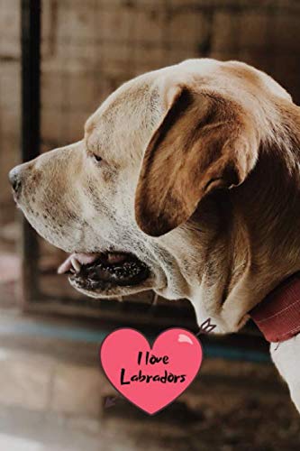 I love Labradors: Notebook Journal with beautiful Lab Cover. 6” x 9” lined journal (neutral wide-ruled paper with a line at the top for date), blank book notebook, 100 pages for writing notes. Pets