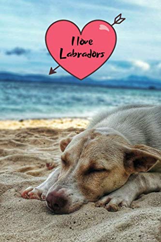 I love Labradors: Notebook Journal with beautiful Lab Cover. 6” x 9” lined journal (neutral wide-ruled paper with a line at the top for date), blank book notebook, 100 pages for writing notes. Pets