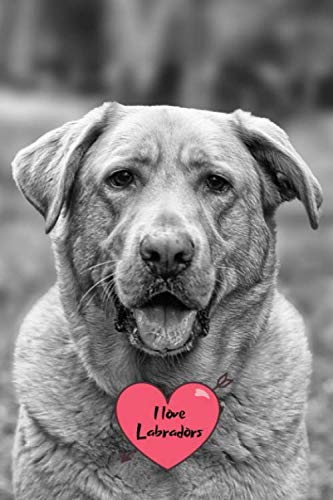 I love Labradors: Notebook Journal with beautiful Lab Cover. 6” x 9” lined journal (neutral wide-ruled paper with a line at the top for date), blank book notebook, 100 pages for writing notes. Pets