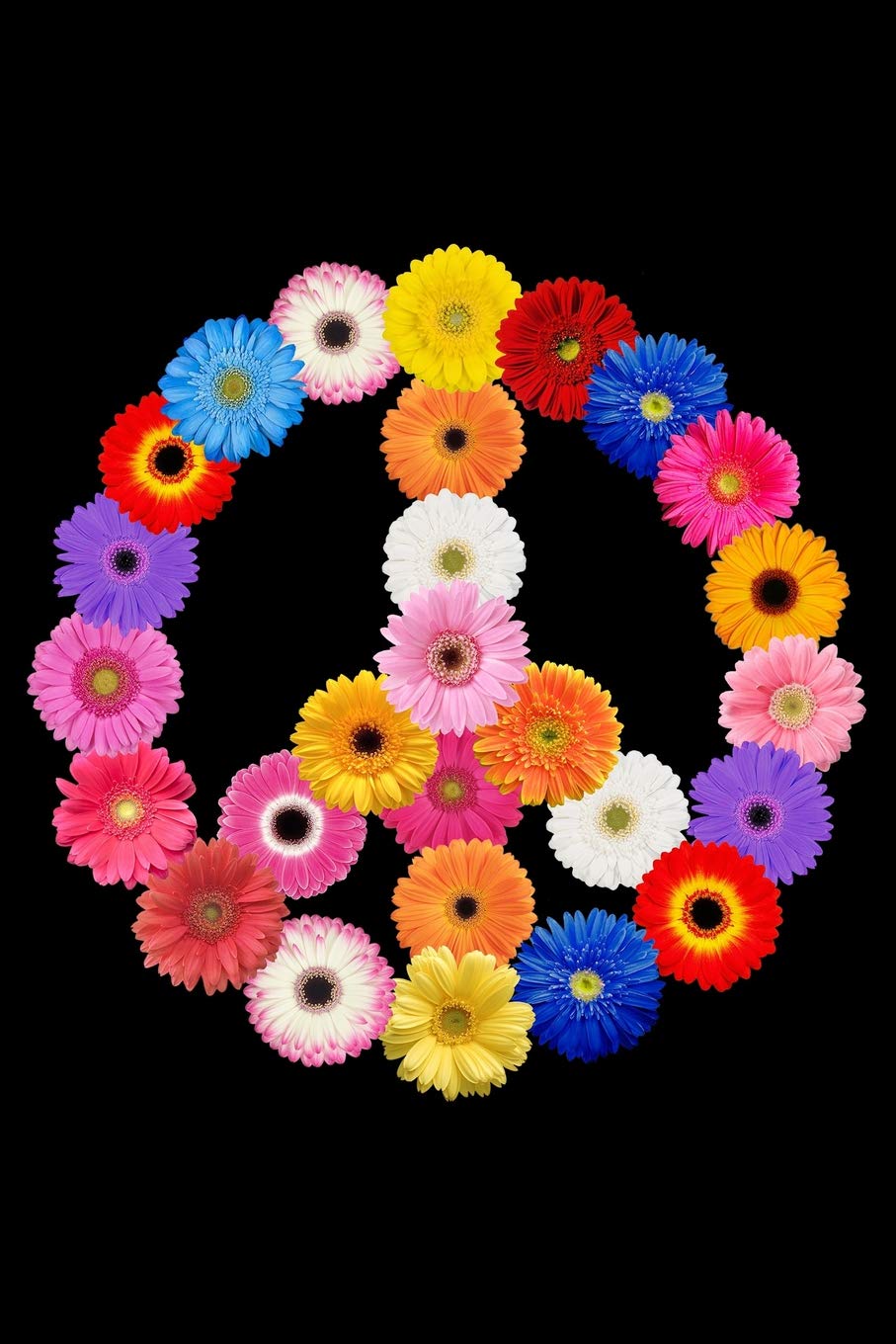 Journal: Gerber Daisies Gerbera Peace Sign 70's Flowers Love Kindness Black Lined Notebook Writing Diary - 120 Pages 6 x 9 Film, Art & Culture