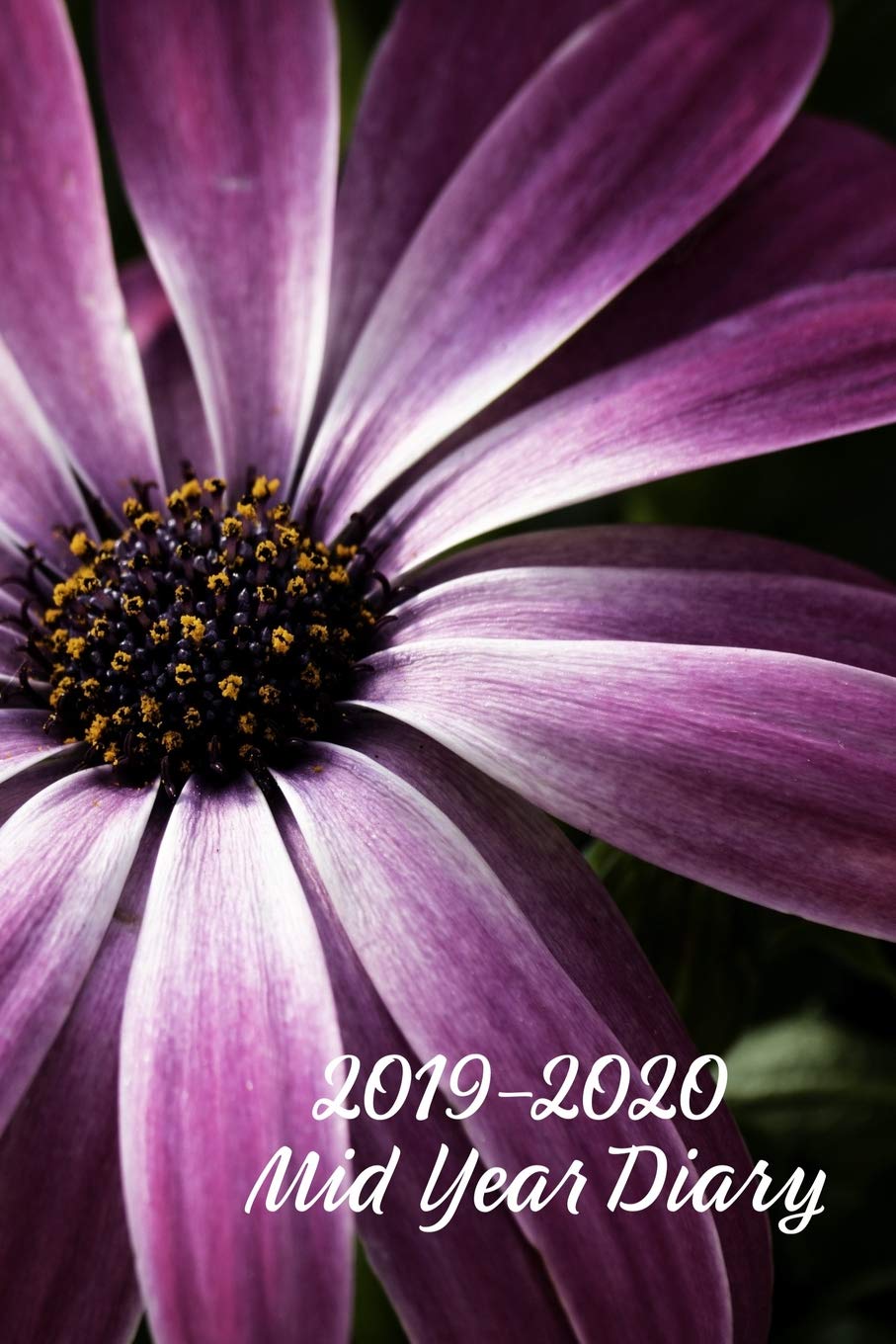 2019-2020 Mid Year Diary: African Daisy Academic Year Planner (6"x9" Page-a-Day A5 Paperback) Garden & Plants