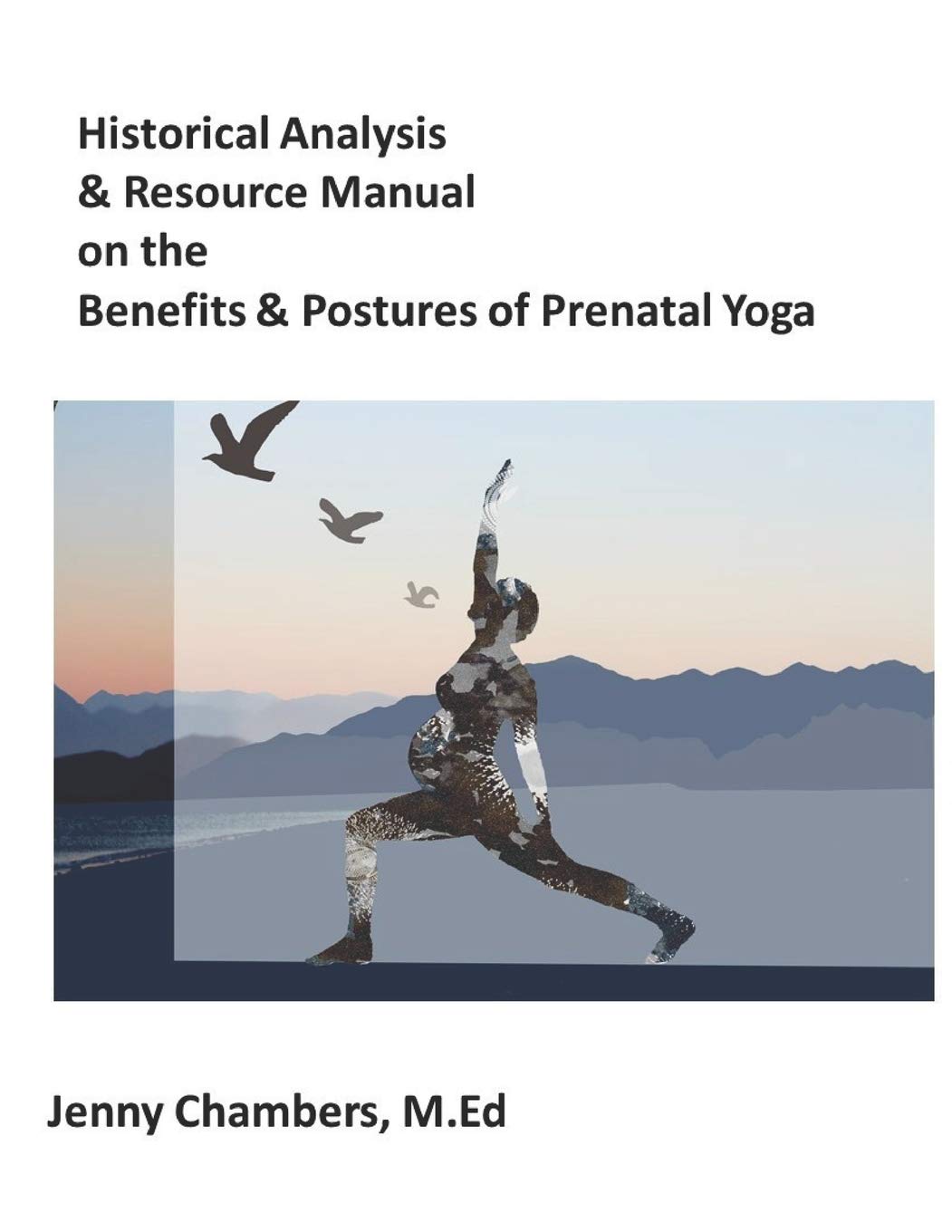 Historical Analysis & Resource Manual on the Benefits & Postures of Prenatal Yoga Reference Books
