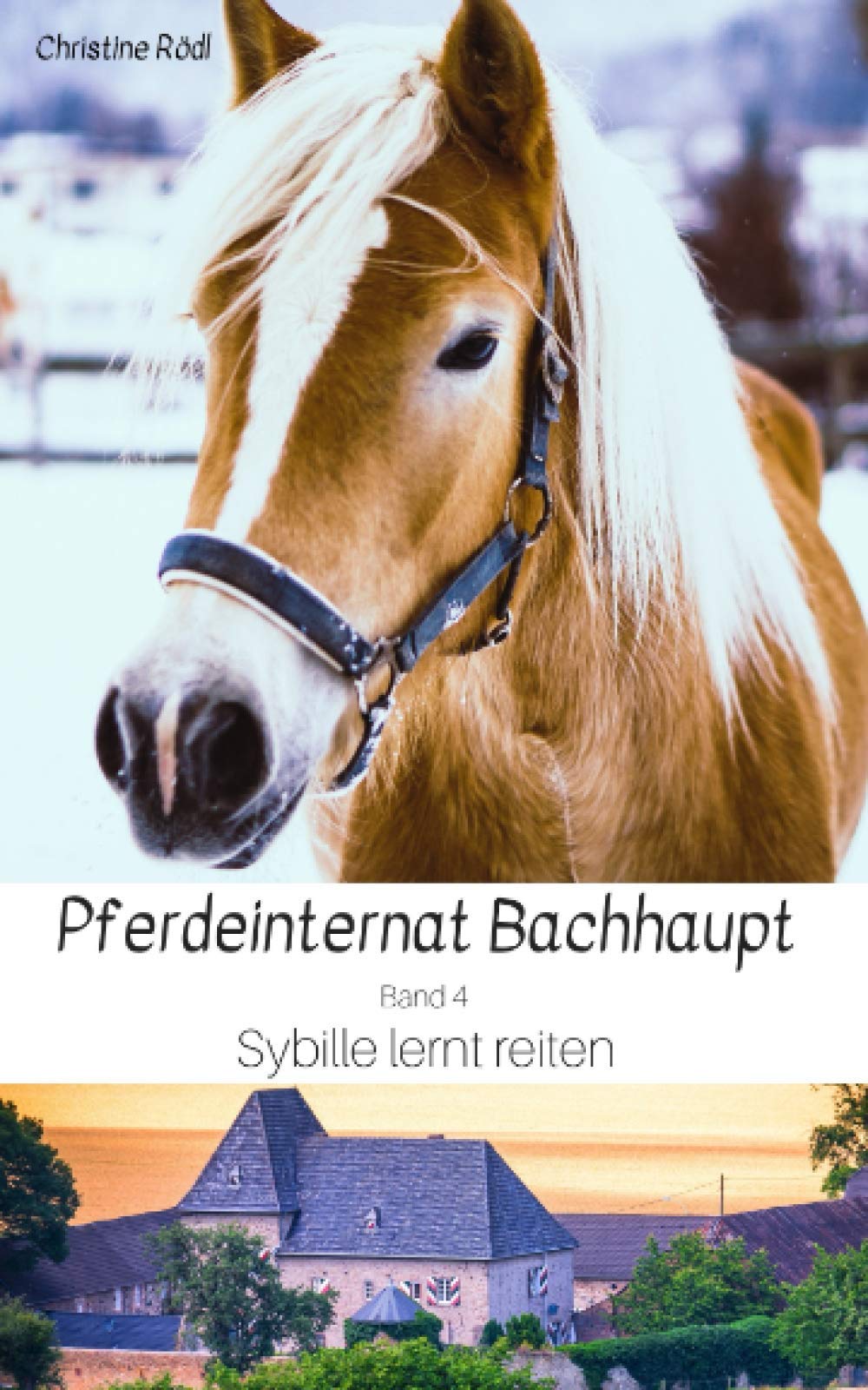 Sybille lernt reiten book