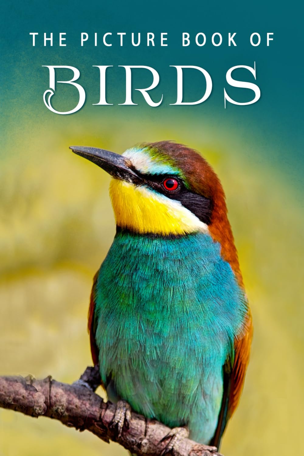 The Picture Book of Birds: A Gift Book for Alzheimer's Patients and Seniors with Dementia (Picture Books - Animals, Band 1) Mathematics