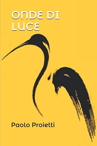 ONDE DI LUCE: Iniziazione di uno Yogin Occidentale book