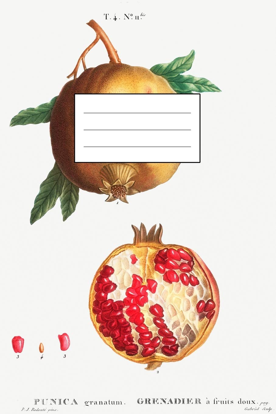 Designer Notizheft: liniert mit Motiv "Granatapfel Pomegranate " von Pierre-Joseph Redouté, Notebook, Schreibheft etwa A5 (15,3 x 22,9 cm) mit ... stilvolle Geschenkidee für Gartenliebhaber Film, Art & Culture