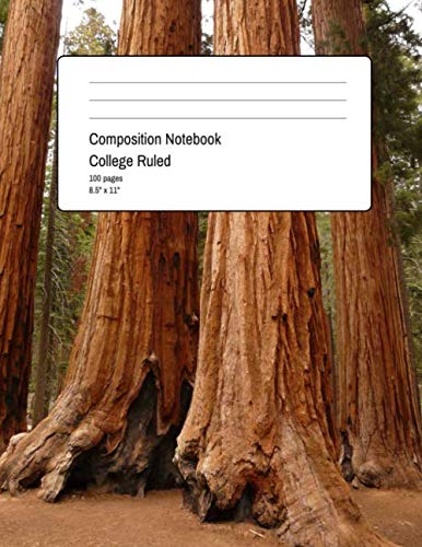 Composition Notebook College Ruled: 100 Pages + 8.5" x 11" + medium ruled paper with horizontal spacing + Beautiful Wood Design Cover Learning & Reference
