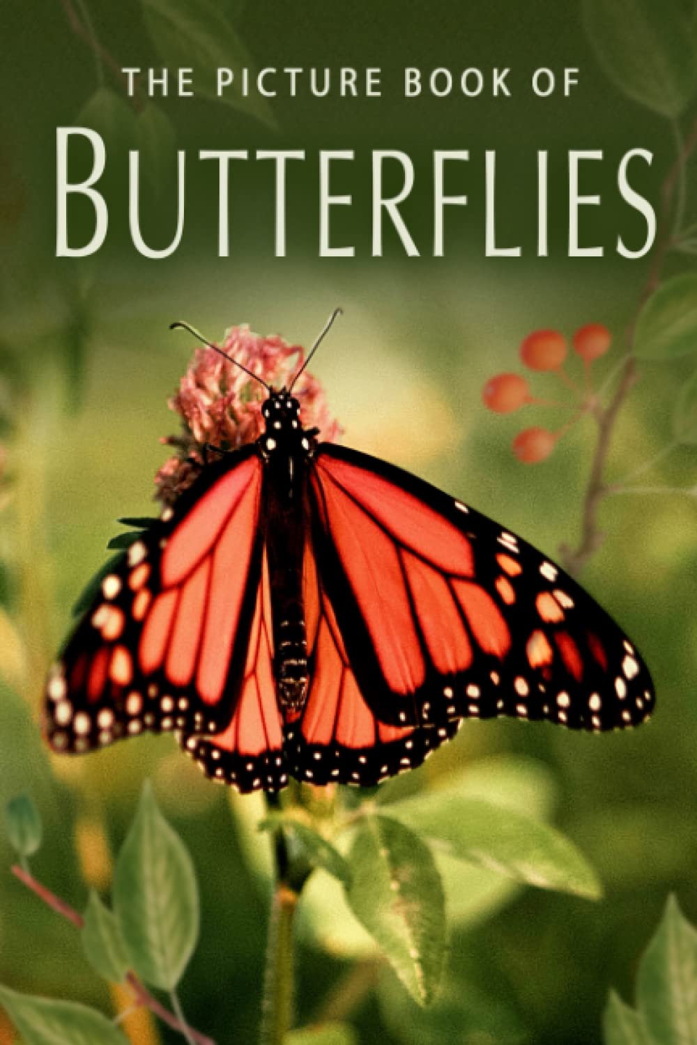 The Picture Book of Butterflies: A Gift Book for Alzheimer's Patients and Seniors with Dementia (Picture Books - Nature, Band 4) Nature & Animals