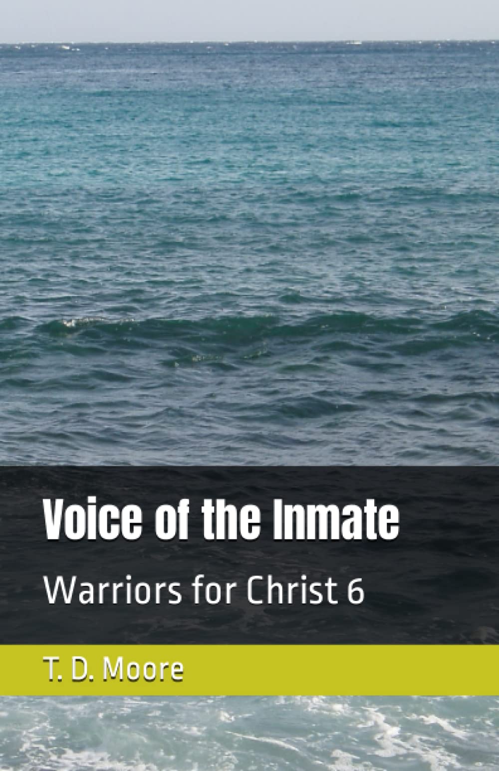 Voice of the Inmate (Warriors for Christ) Action & Adventure