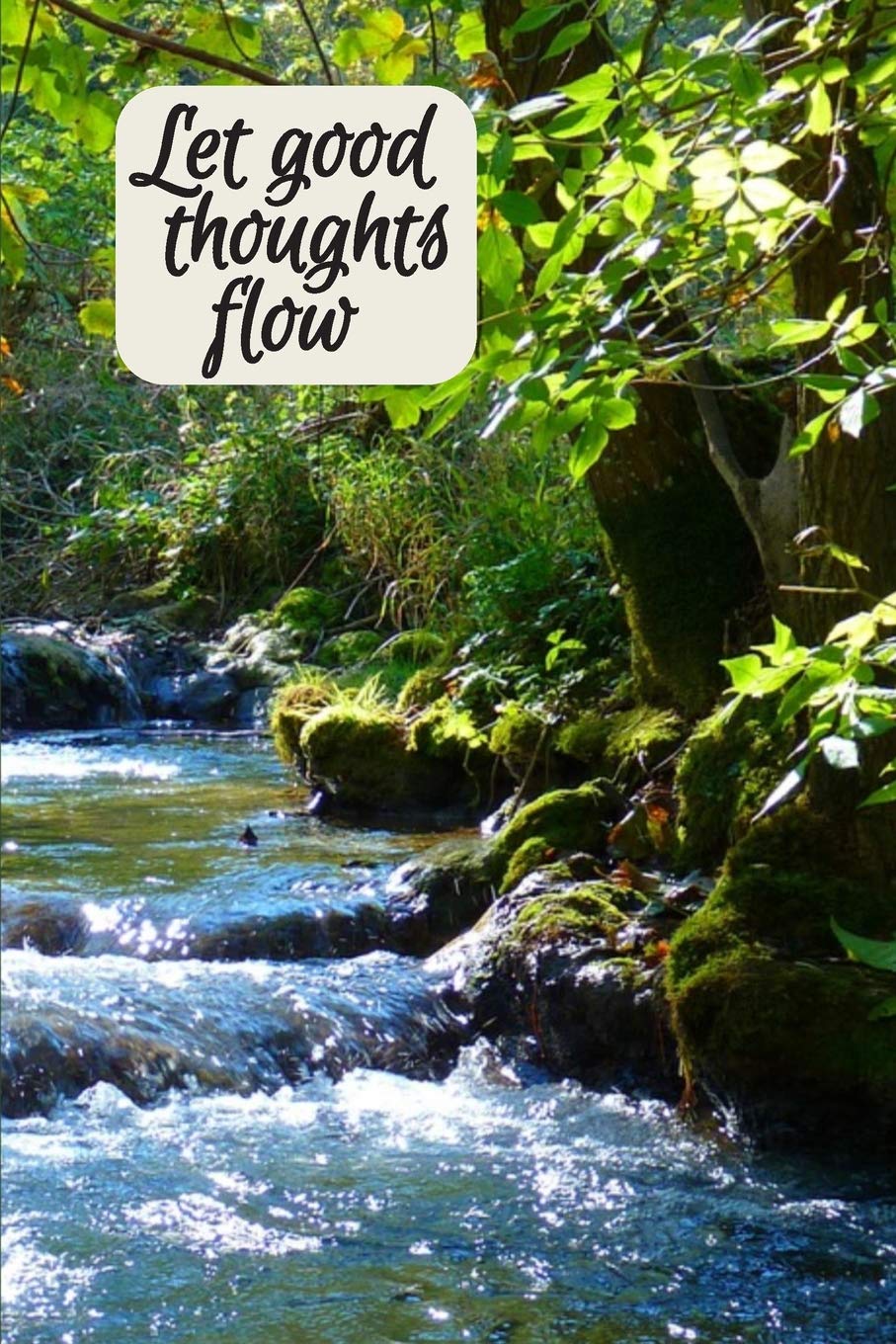 Let good thoughts flow: Be Grateful Daily, Journal for Women with Peaceful River Cover Business, Finance & Career