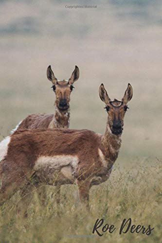 Roe Deers: Animal Notebook for Kids, Notebook for Coloring Drawing and Writing (110 Pages, Unlined, 6 x 9) (Animal Glossy Notebook) book