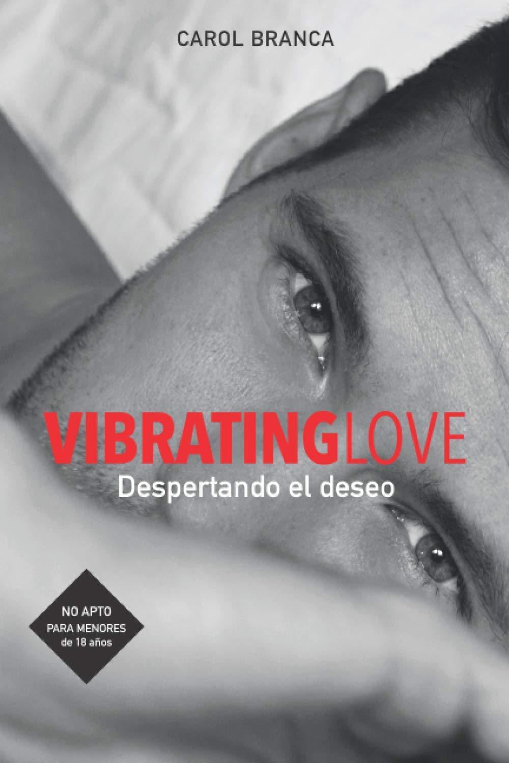 VIBRATING LOVE: DESPERTANDO EL DESEO book
