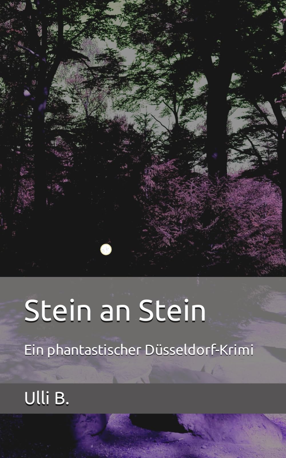 Stein an Stein: Ein phantastischer Düsseldorf-Krimi (Timo Friedherr, Band 1) Historical Fiction