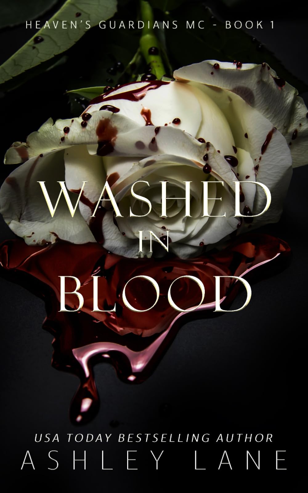 Washed In Blood (Heaven's Guardians MC, Band 1) Action & Adventure