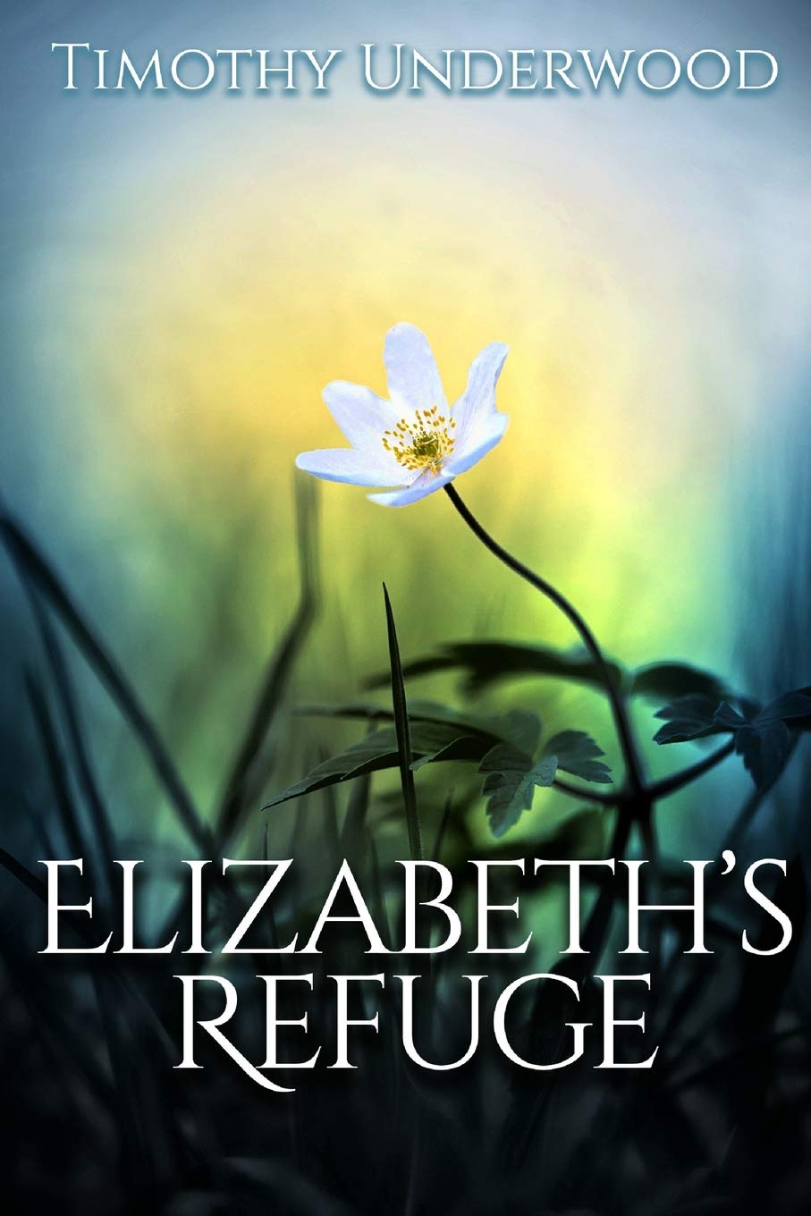 Elizabeth's Refuge: An Elizabeth and Darcy Story (Mr. Underwood's Elizabeth & Darcy Stories) Historical Fiction