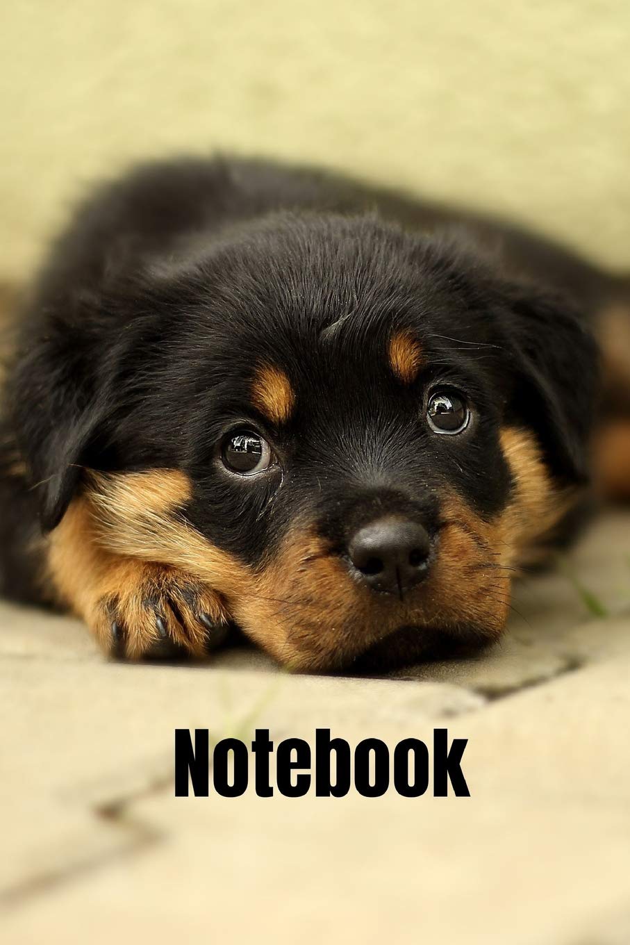 Notebook: Notebook / Planner / Journal / Diary with lovely Puppy Dog Cover - 120 pages - 6x9 - wide ruled paper book