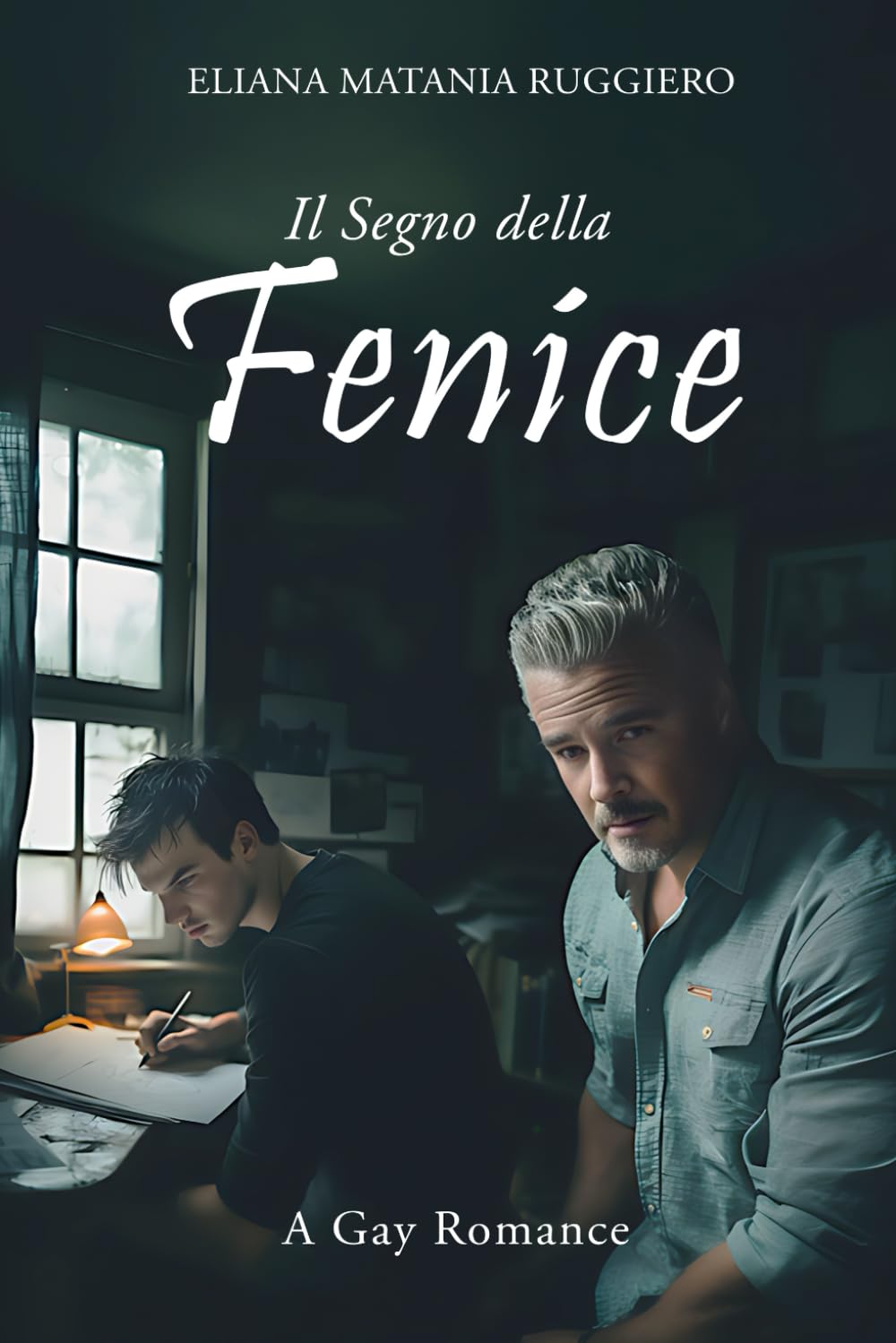 Il Segno della Fenice: A Gay Romance book