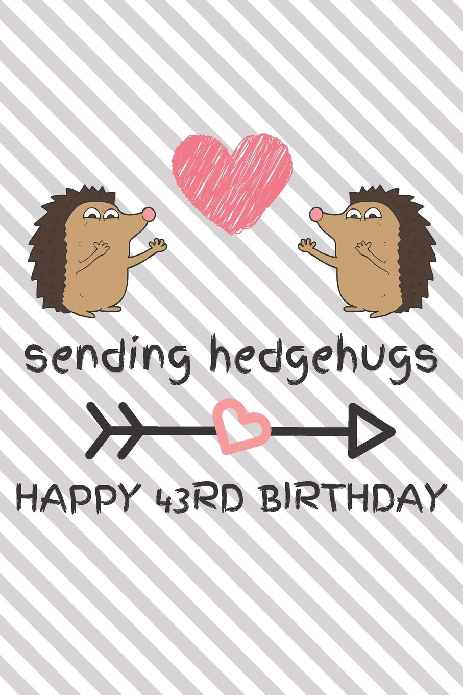Sending Hedgehugs Happy 43rd Birthday: Funny 43rd Birthday Gift Journal / Notebook / Diary / Unique Hedgehog Pun Greeting Card Alternative Books