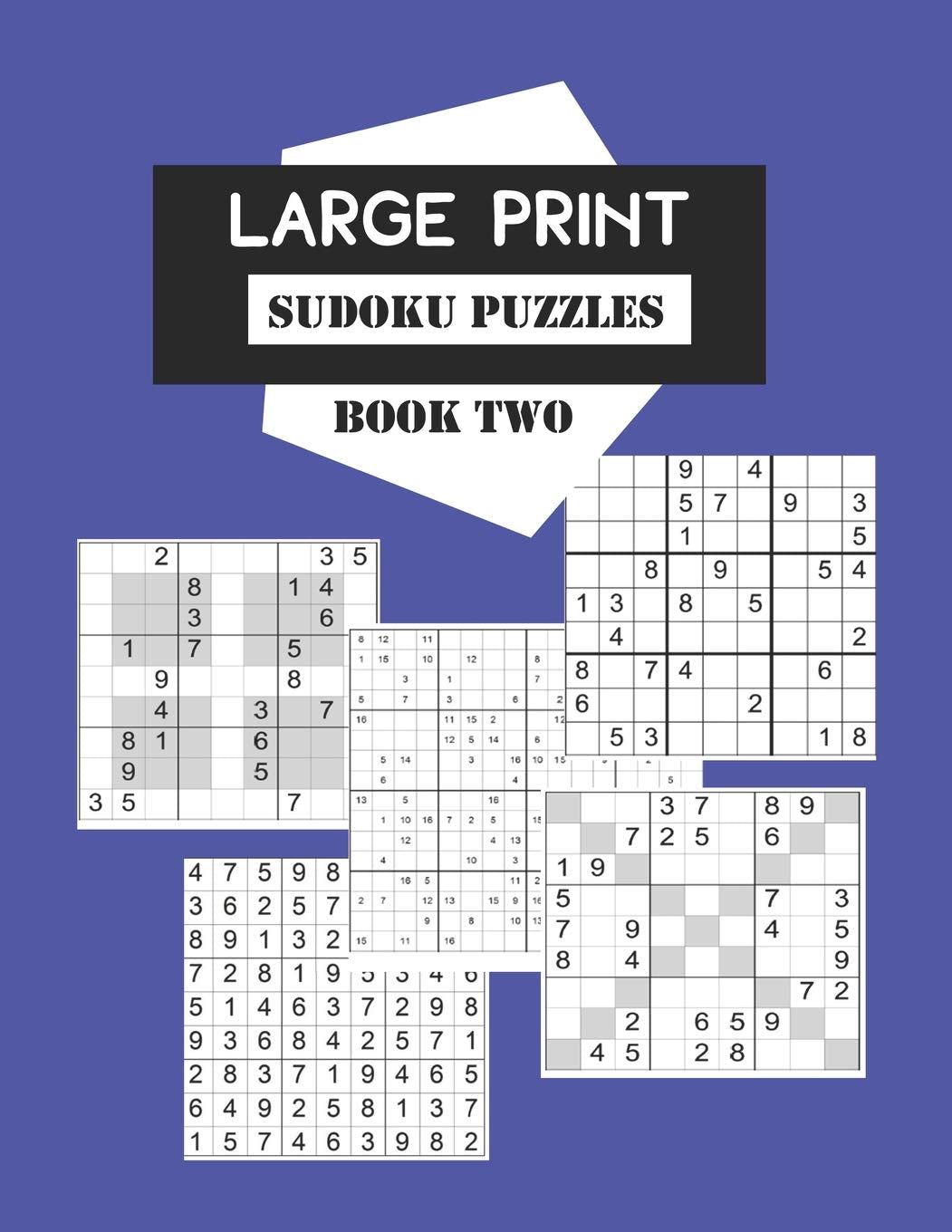 Large Print Sudoku Puzzles Book Two: Selection of 200 games from average level to extremely difficult, 9x9,12x12,16x16, Sudoku X and Sudoku Hyper grids. For intermediate to advanced players. Leisure & Fun