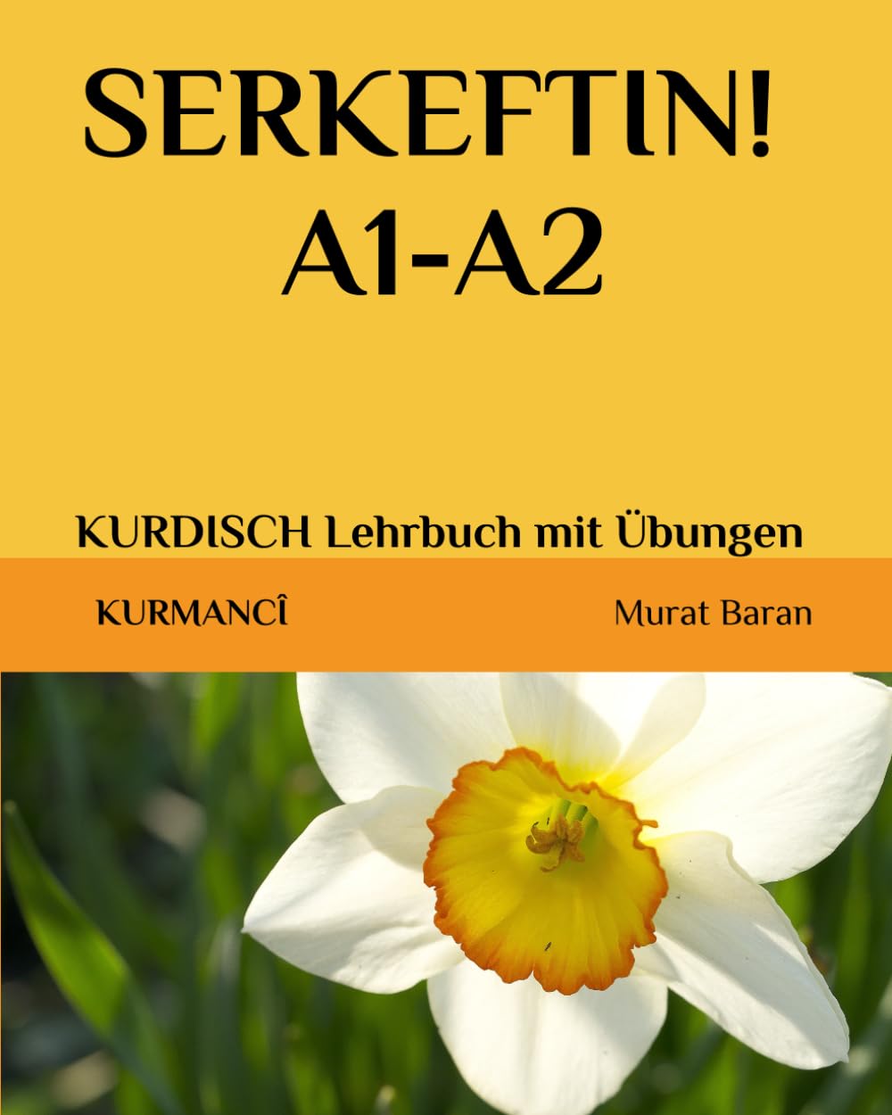 SERKEFTIN! A1-A2: KURDISCH Lehrbuch mit Übungen (kurmanci kurdisch, Band 6) Media & Communication