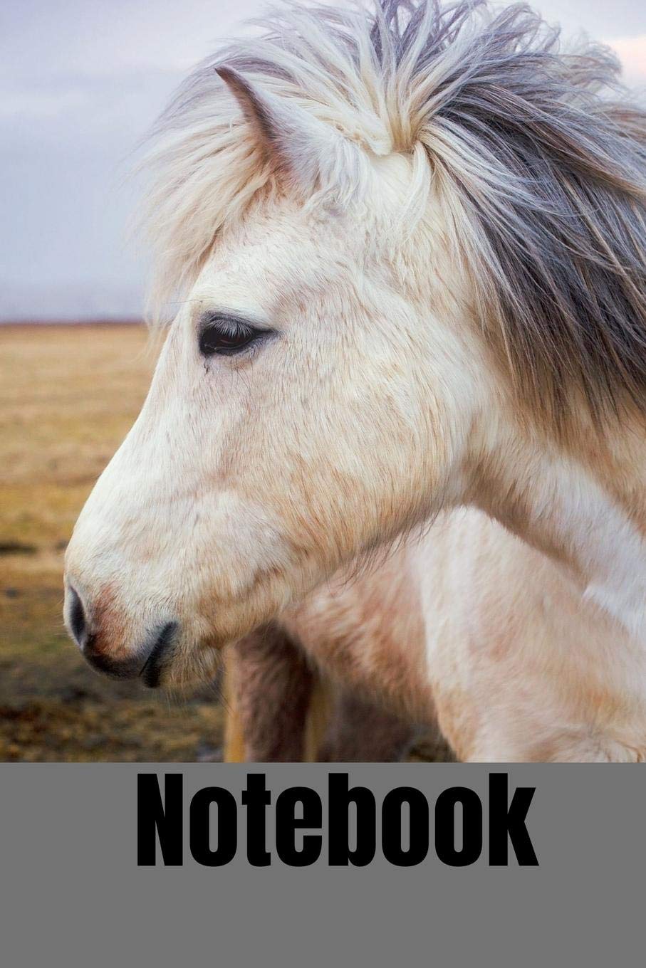 Notebook: Notebook / Planner / Journal / Diary with lovely Horse Cover - 120 pages - 6x9 - wide ruled paper Books
