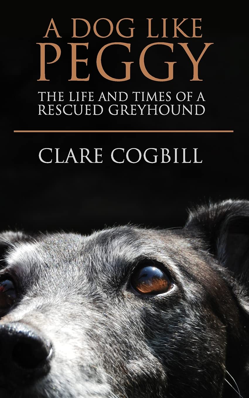 A Dog Like Peggy: The Life and Times of a Rescued Greyhound (True Rescue Dog Stories, Band 3) Mathematics