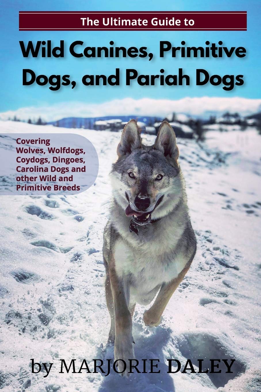 The Ultimate Guide to Wild Canines, Primitive Dogs, and Pariah Dogs: An Owner's Guide Book for Wolfdogs, Coydogs, and Other Hereditarily Wild Dog Breeds Pets