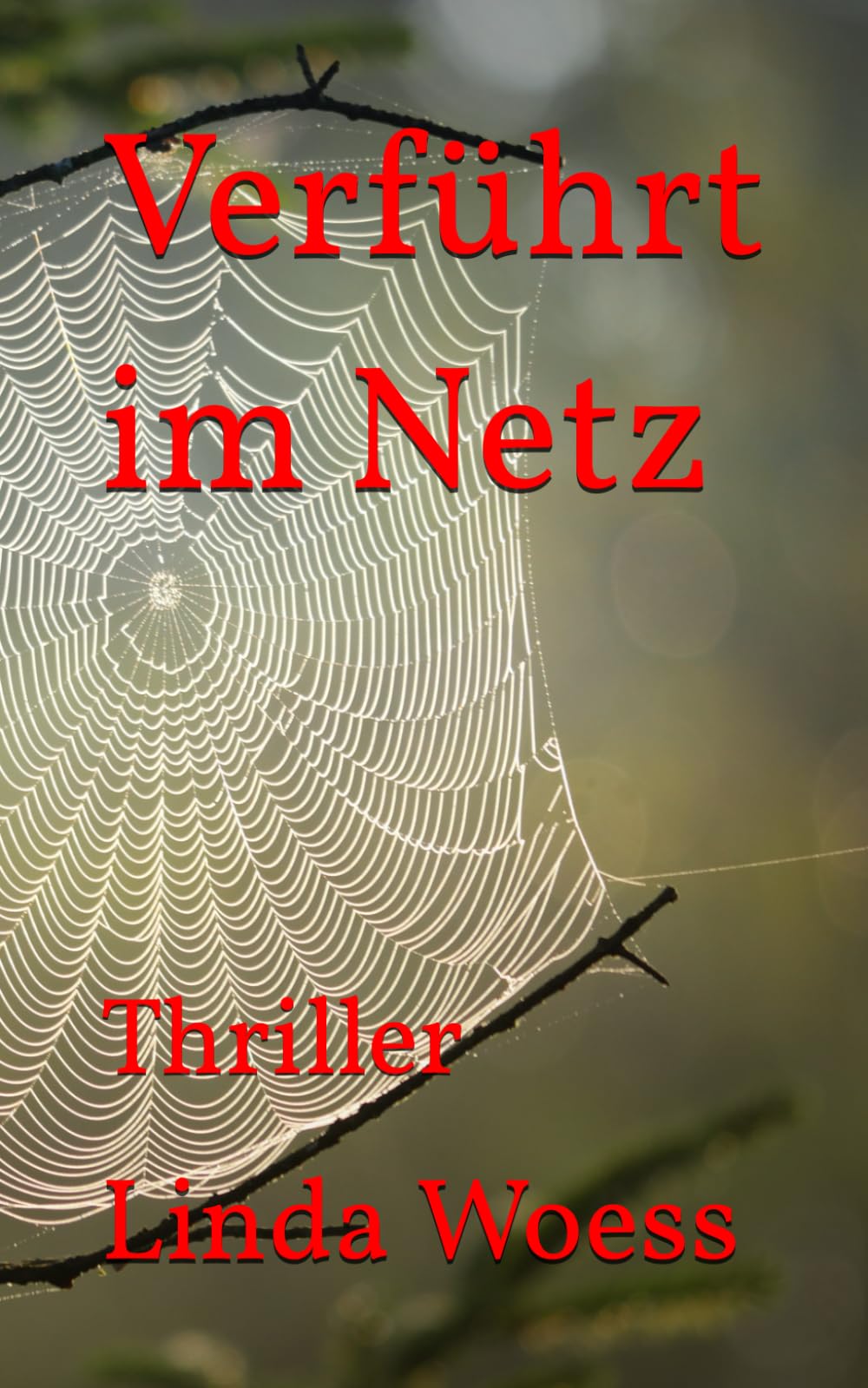 Verführt im Netz: Roman Contemporary literature