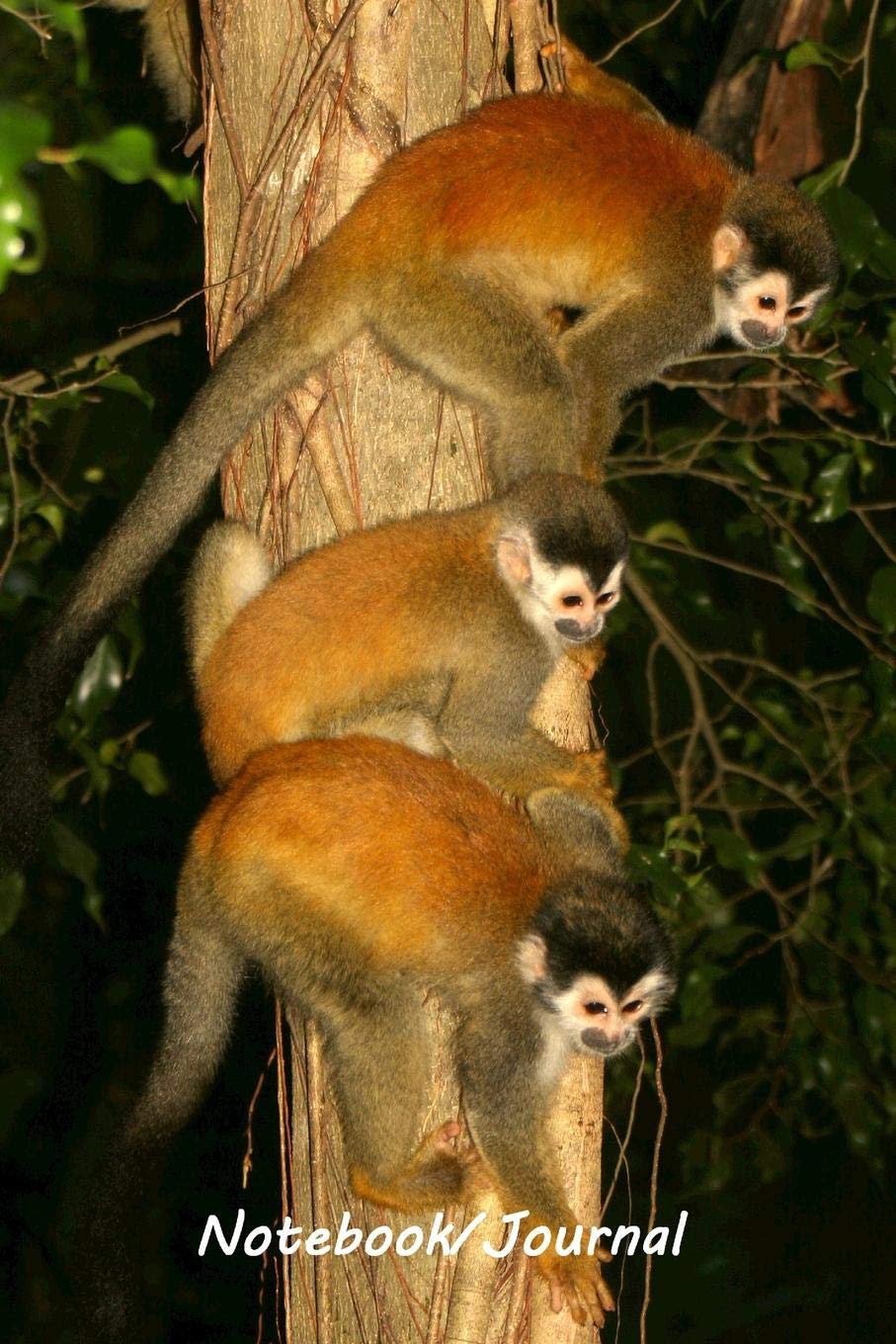 Notebook/Journal: Squirrel Monkey #2 - Wildlife and Inspirational Notebook/Journal – 128 lined pages in a 6x9 inch Softcover Notebook (Wildlife Central America) Essays & Short Stories