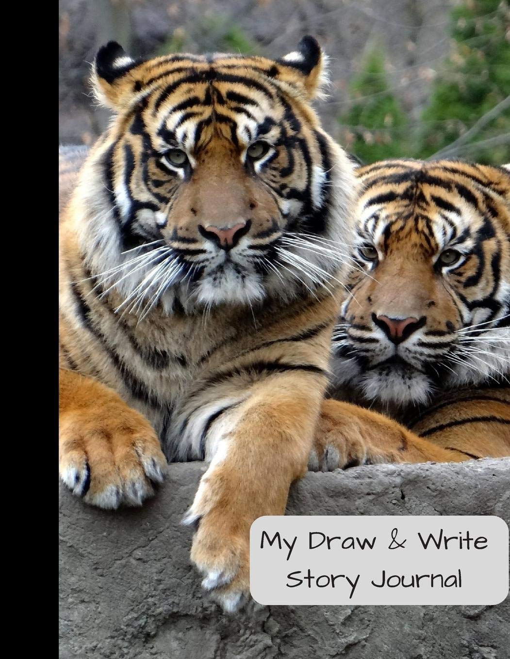 My Draw & Write Story Journal: A journal for creative writing and storytelling Tiptoi & Games