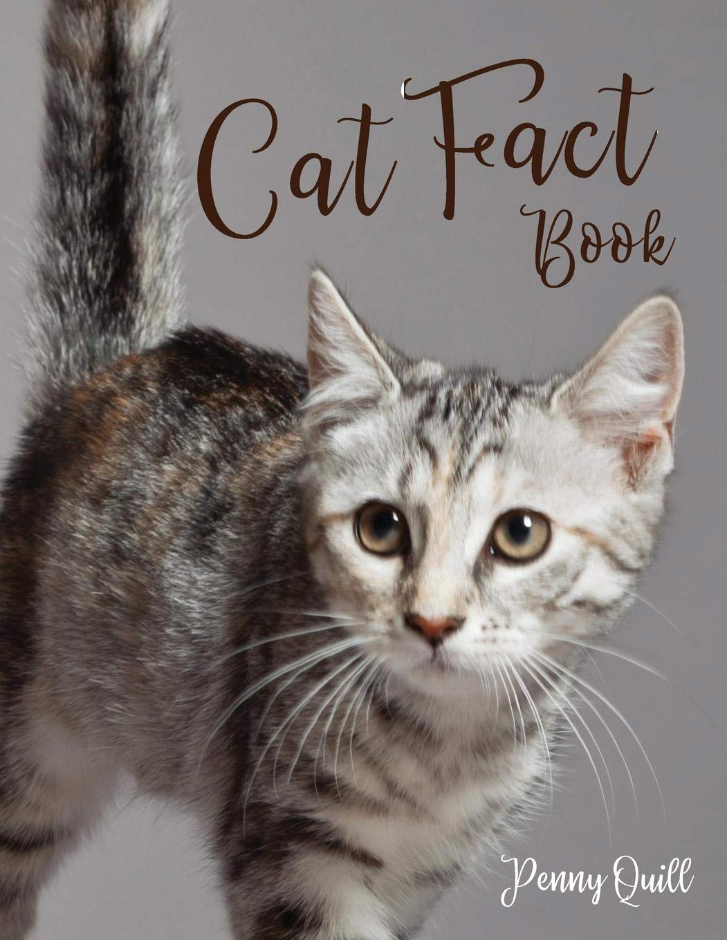 Cat Fact Book: Disguised Large Print Password Book with Phone Numbers, Birthdays and Other Information to Keep Everything in One Place | Cat Design 8.5 x 11 Inches (Quill Clark Large Password Books) Business, Finance & Career