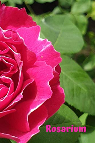 Rosarium: Flowers and Gardens: A Garden Of Beautiful Thoughts, Checkbook, Positive, Dream Journal, Self Diary, Energy, Daily, Power Planner, Project (110 Pages 6 x 9) Self-help
