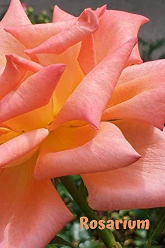 Rosarium: Flowers and Gardens: A Garden Of Beautiful Thoughts, Checkbook, Positive, Dream Journal, Self Diary, Energy, Daily, Power Planner, Project (110 Pages 6 x 9) Self-help