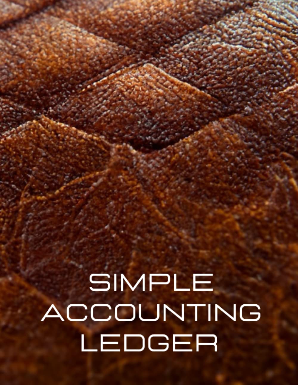 Simple accounting ledger | Accounting notes and bookkeeping notebook | 100 pages | 8,5’’ x 11’’ book