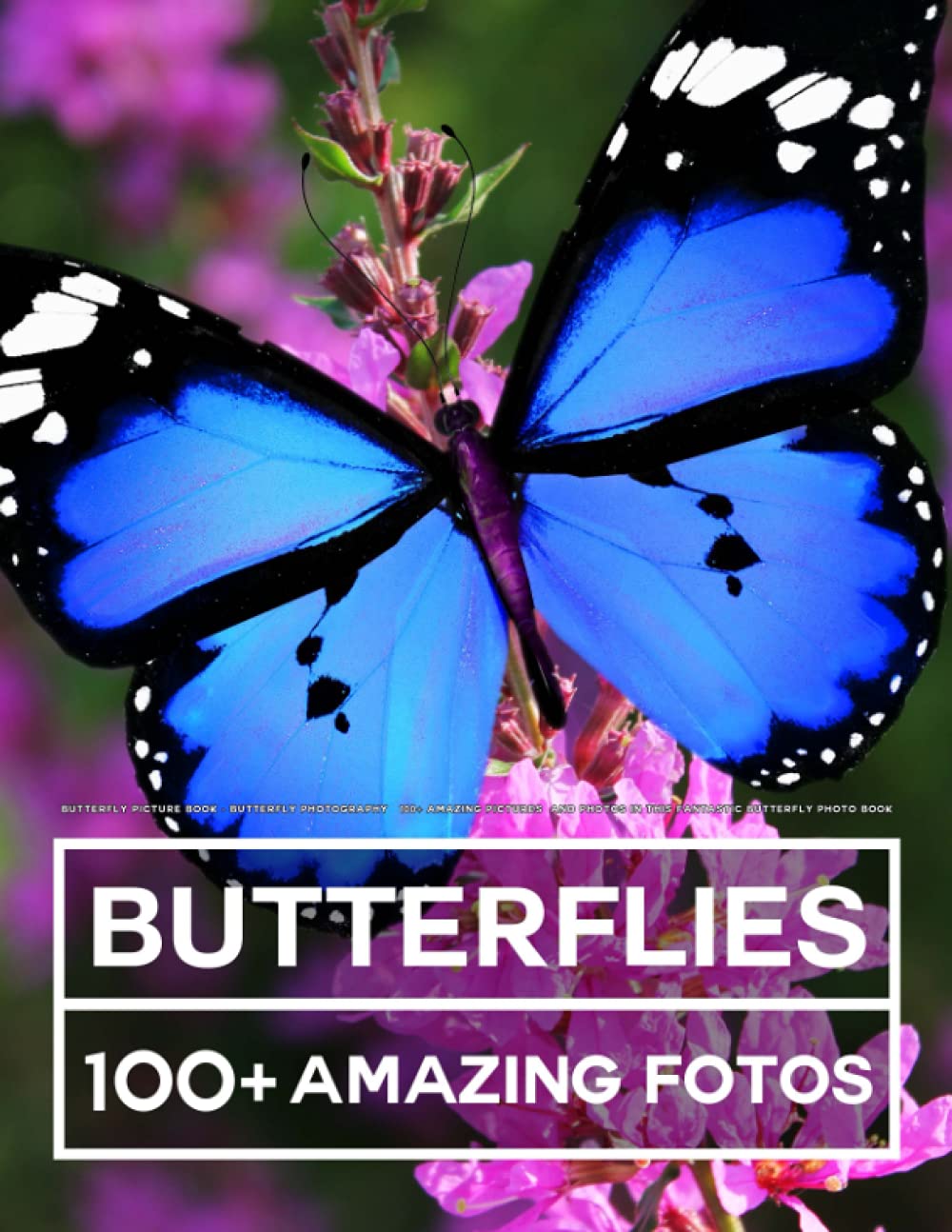 Butterfly Picture Book - Butterfly Photography: 100+ Amazing Pictures and Photos in this fantastic Butterfly Photo Book Nature & Animals